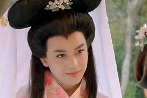 李晟《浪姐6》翻红引争议，琼瑶粉丝怒斥背后故事