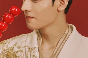 精彩图片集锦：视觉盛宴一览